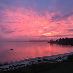 Meet your Posher, Leila